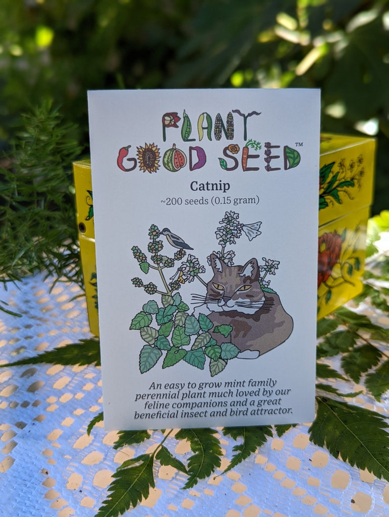 Catnip Seed - Lighthouse Herb'n Farm